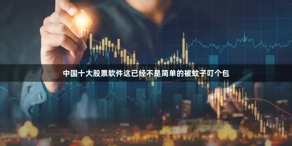 中国十大股票软件这已经不是简单的被蚊子叮个包
