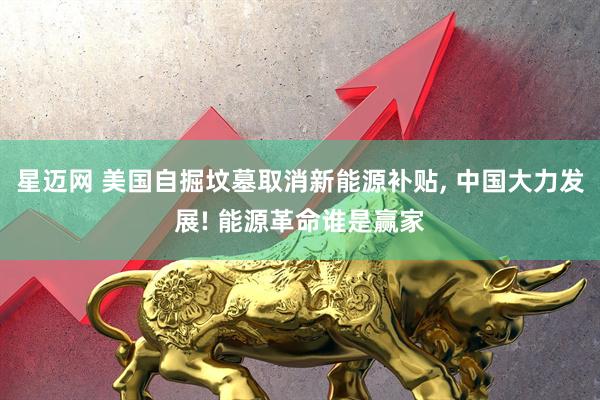 星迈网 美国自掘坟墓取消新能源补贴, 中国大力发展! 能源革命谁是赢家