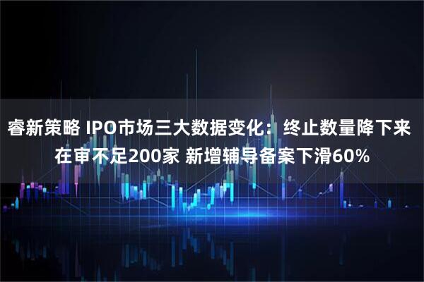 睿新策略 IPO市场三大数据变化：终止数量降下来 在审不足200家 新增辅导备案下滑60%